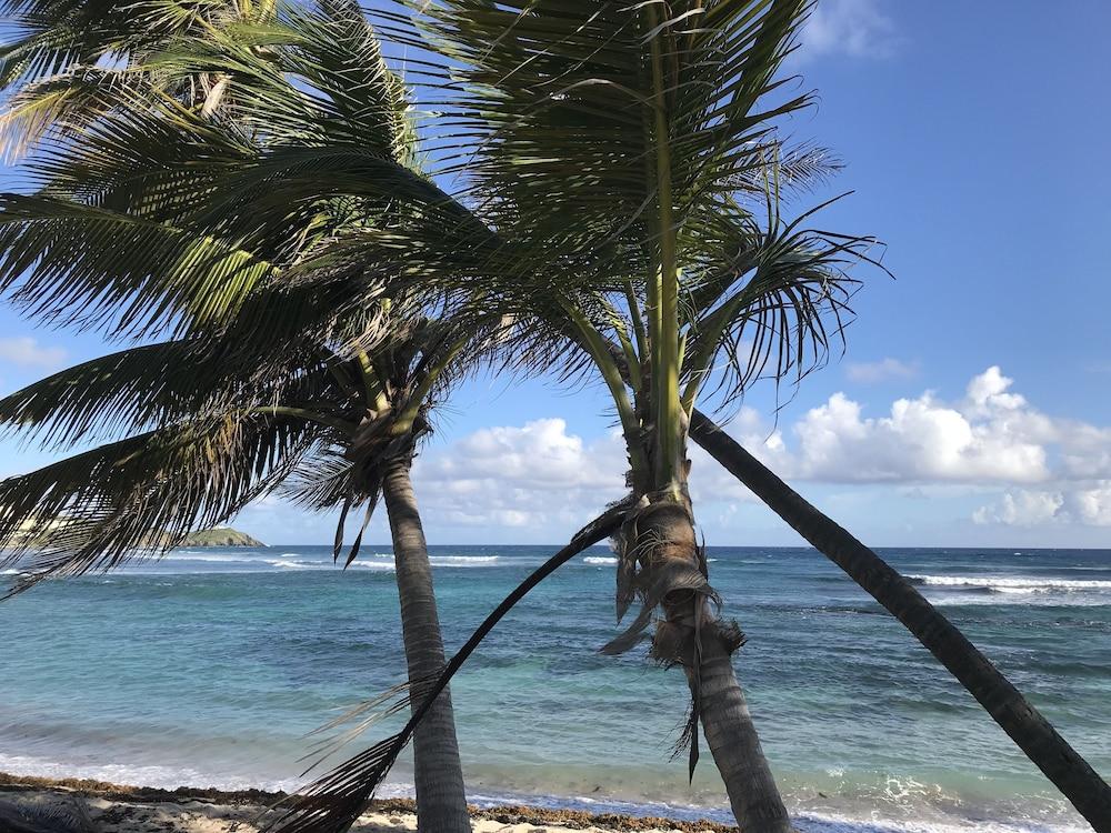 The Palms At Pelican Cove (Adults Only) La Grande Princesse Zewnętrze zdjęcie
