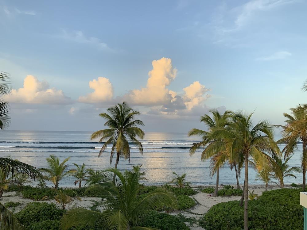 The Palms At Pelican Cove (Adults Only) La Grande Princesse Zewnętrze zdjęcie