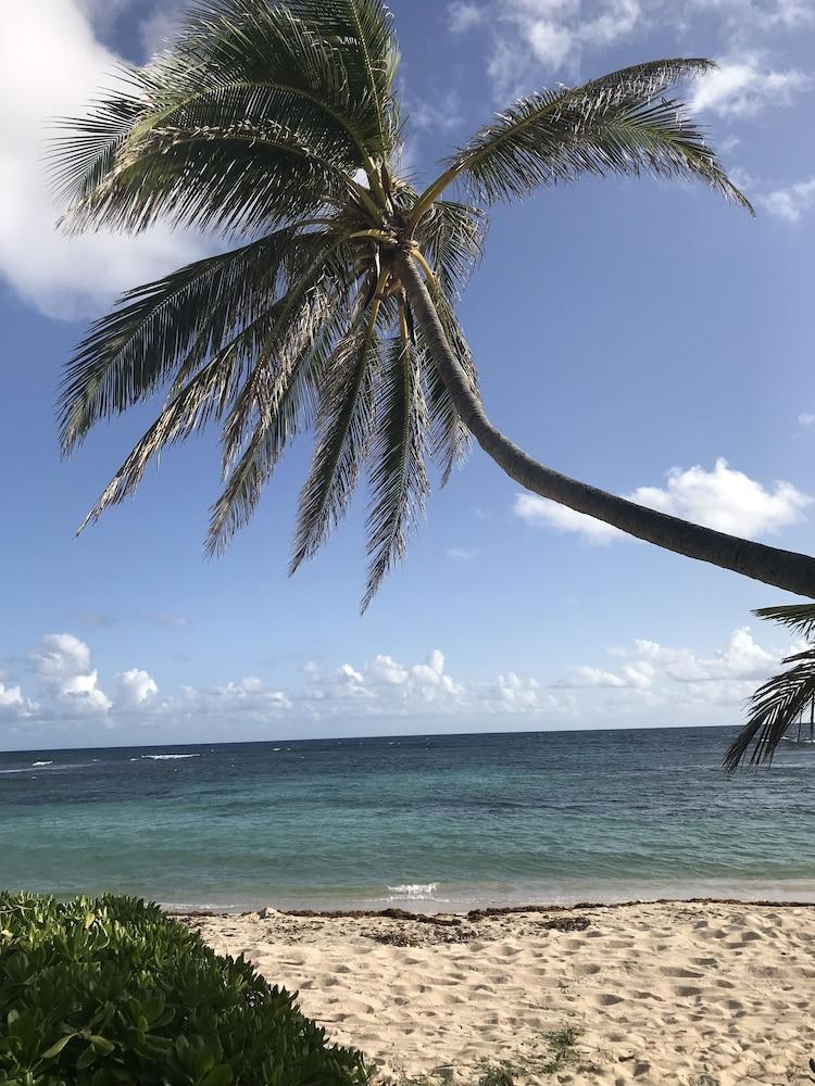 The Palms At Pelican Cove (Adults Only) La Grande Princesse Zewnętrze zdjęcie